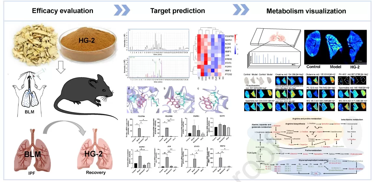 Figure 6 | Study Design and Analytical Workflow (Jiang et al., 2024)
